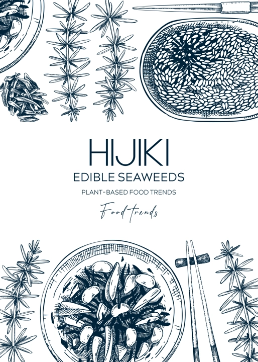 Hand drawn hijiki design. Sea vegetable sketches. Edible seaweed vector illustration. Japanese cuisine trendy menu design. Healthy food ingredients background 